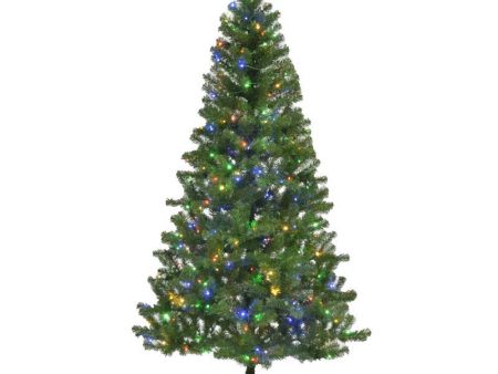 Celebrations 7 ft. Slim LED 400 lights Winchester Christmas Tree Sale