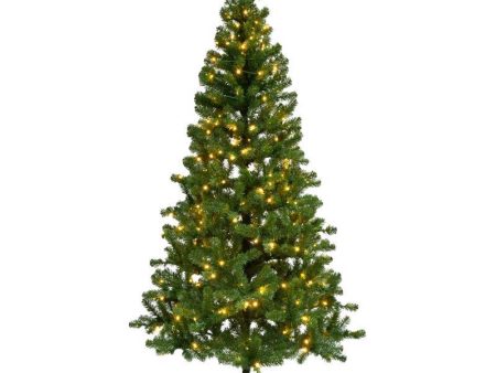 Celebrations 7 ft. Slim LED 400 lights Pine Christmas Tree Online Sale