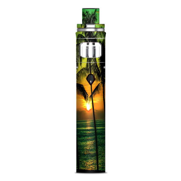 Sunset Palm Trees Ocean Smok Nord AIO Stick Skin Cheap