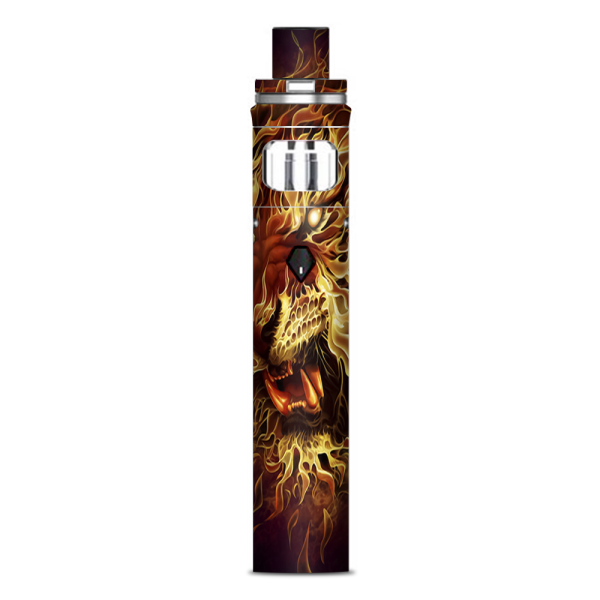 Tiger On Fire Smok Nord AIO Stick Skin Online Sale